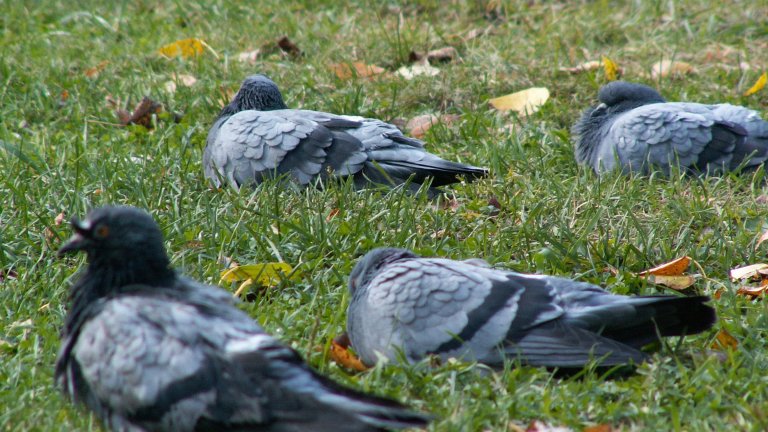 Заморозки до -6 градусов ожидаются в Иркутской области